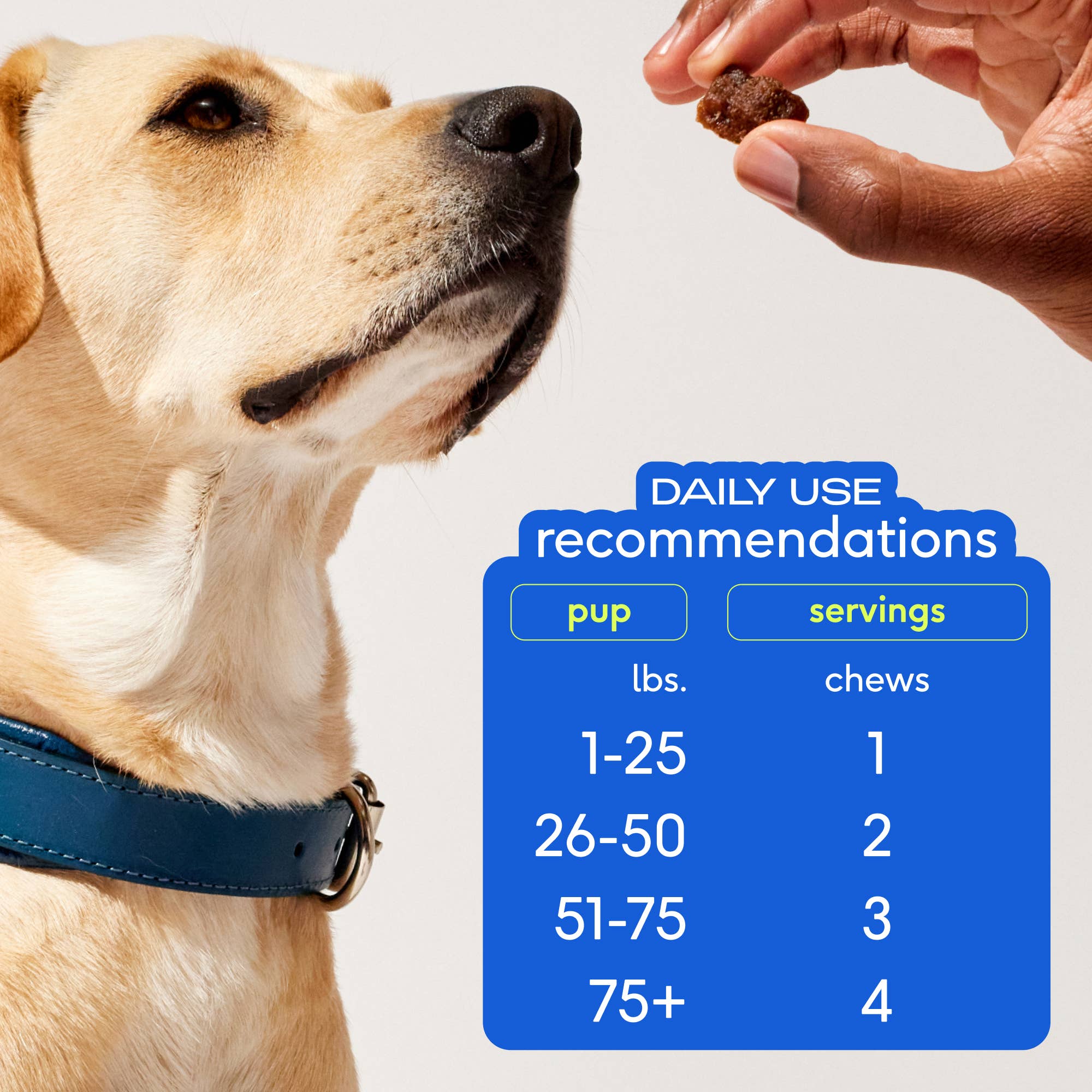 Skin + Coat Chews, Skin & Coat Supplement for Dogs, 60 ct.