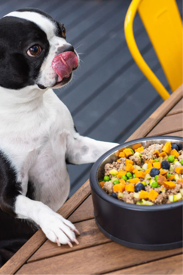 Allergy/Skin Pork & Sweet Potato Dog Food - 16oz