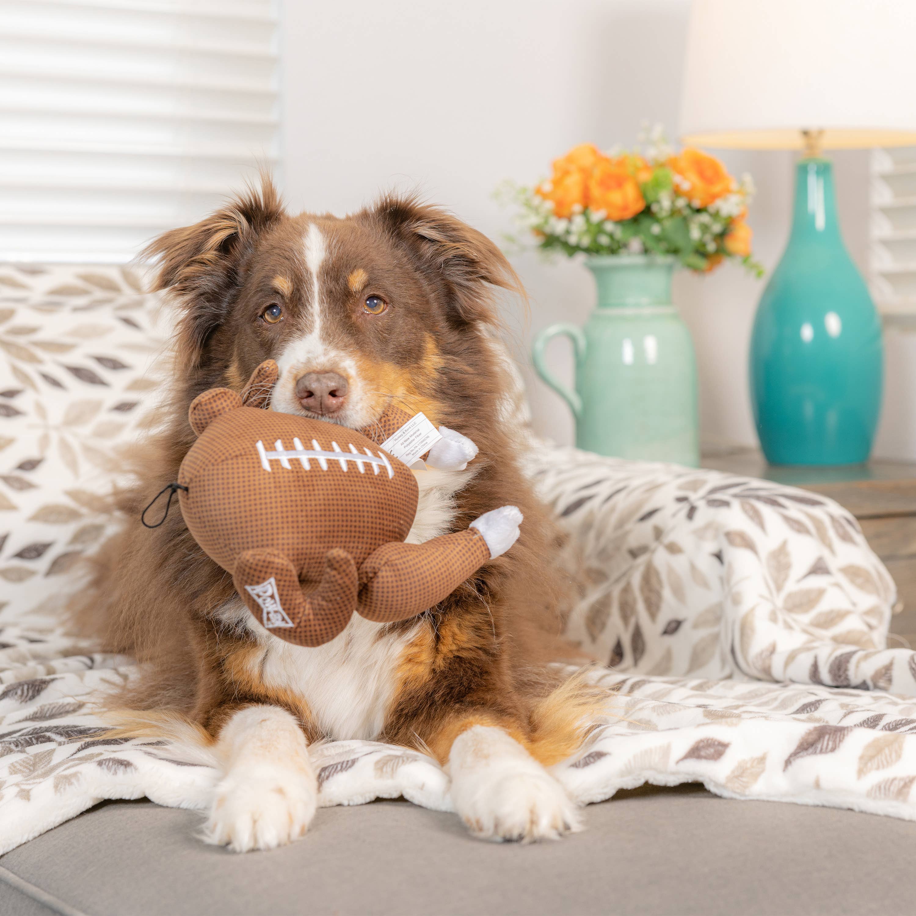 Turkey Bowl For Dogs