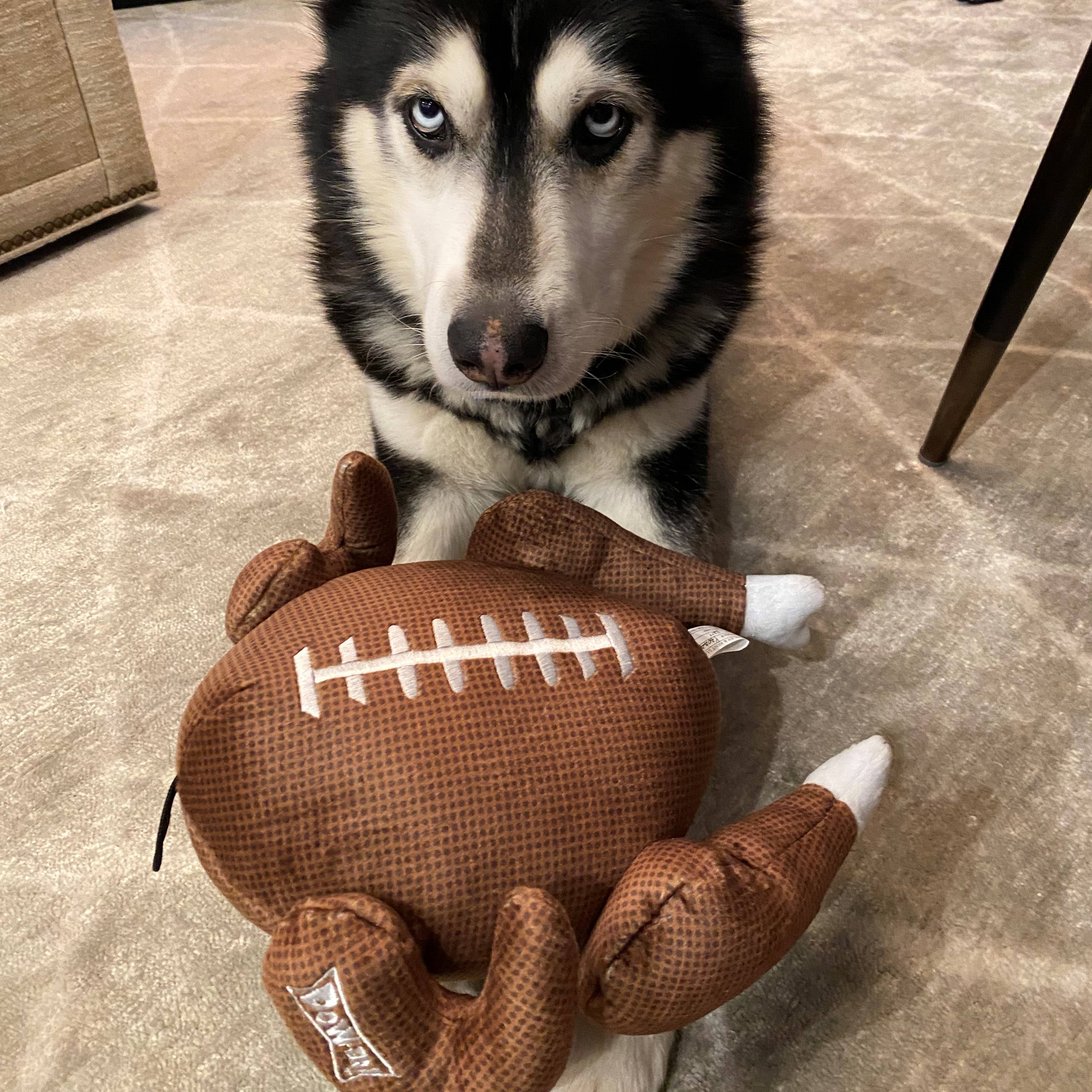 Turkey Bowl For Dogs