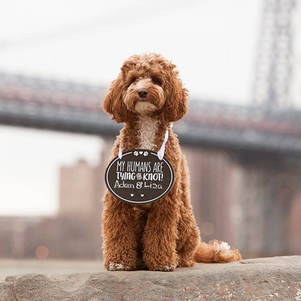 Pet Wedding Announcement Chalkboard