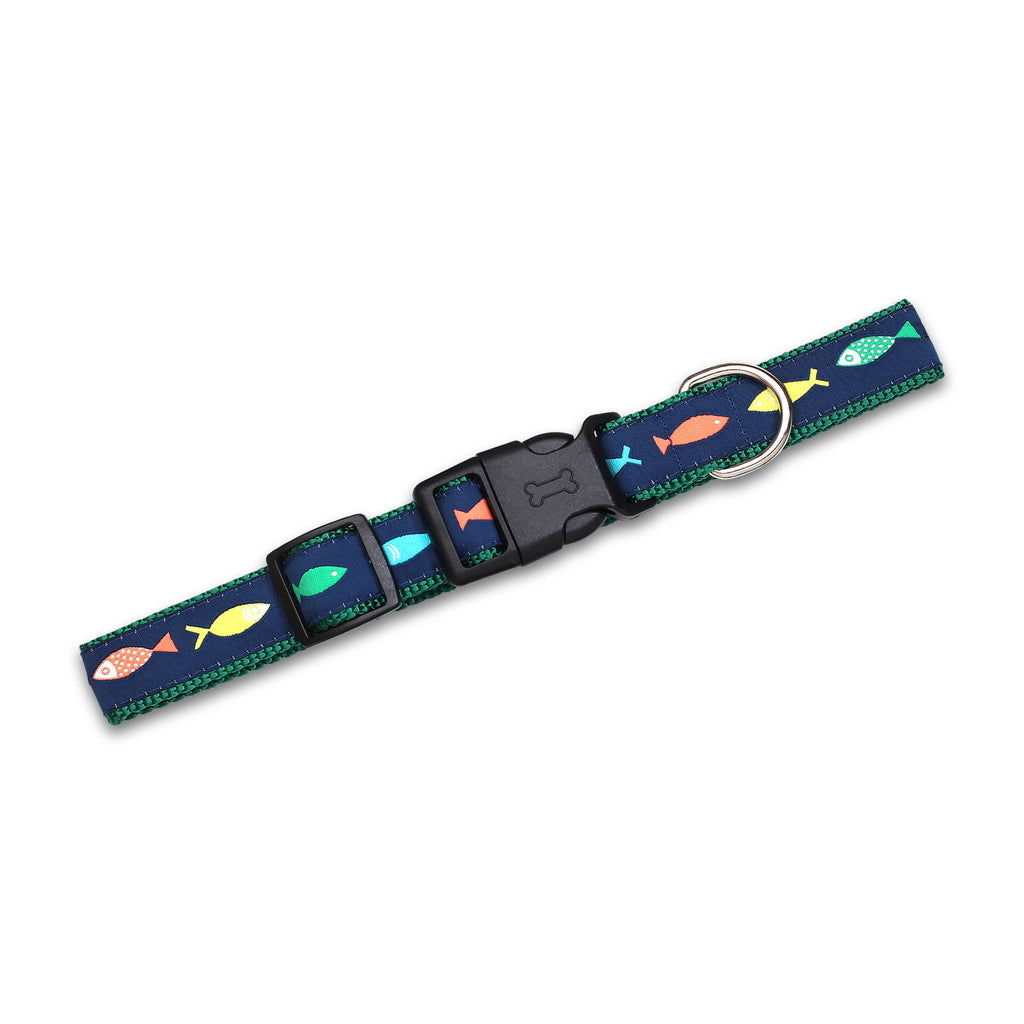 Funky Fish Dog Collar