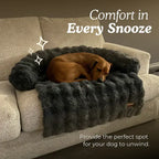 Luxurious Cozy Sofa Bed
