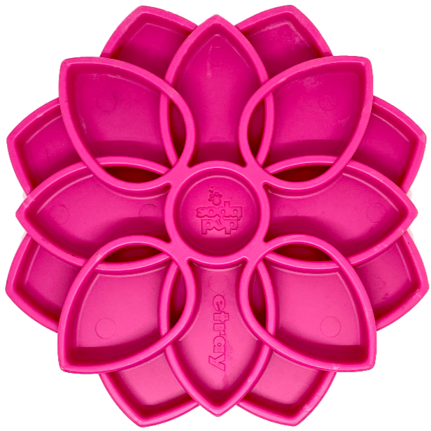 Mandala eTray Shallow Slow Feeder Dog Bowl