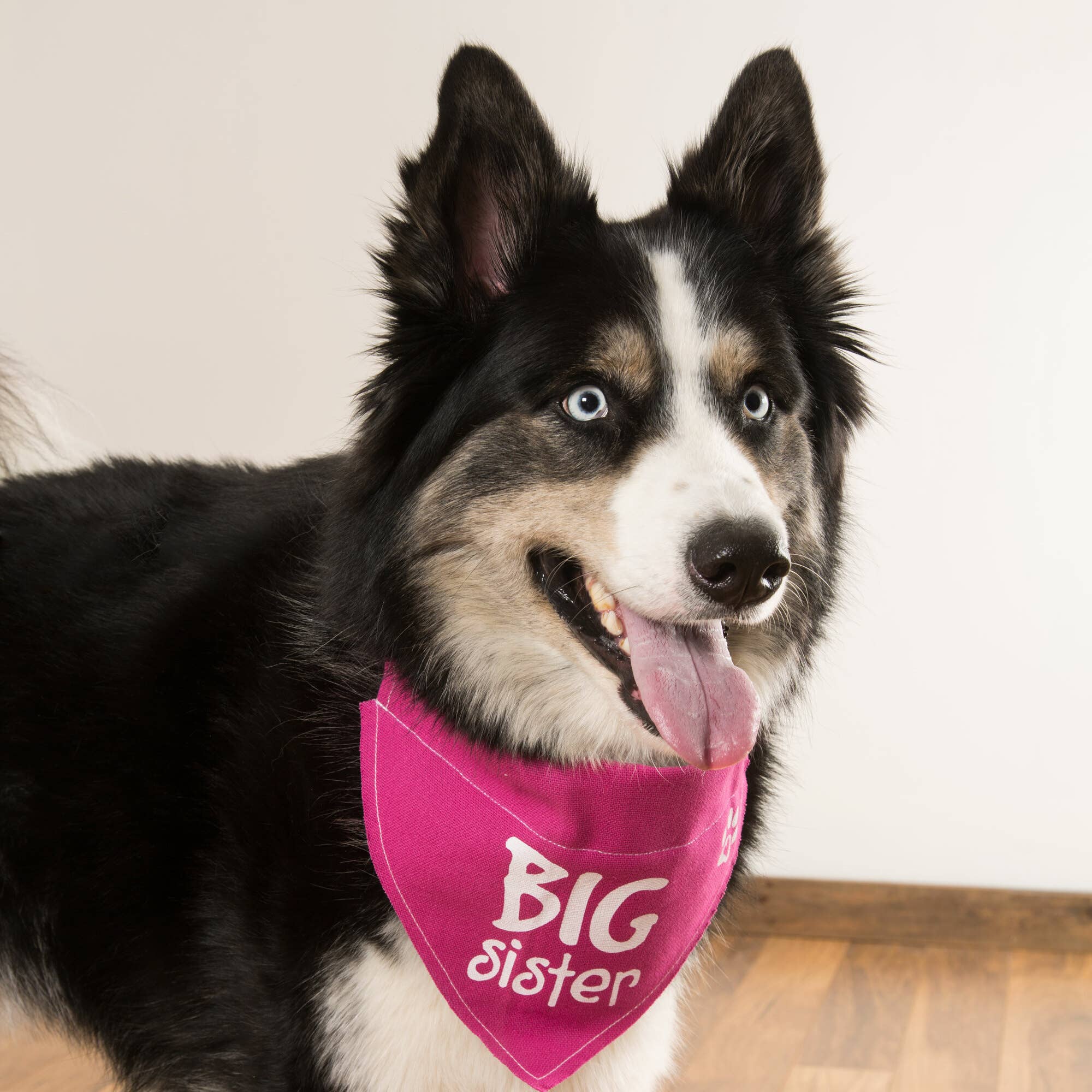 Big Sister Canvas Slip on Pet Bandana