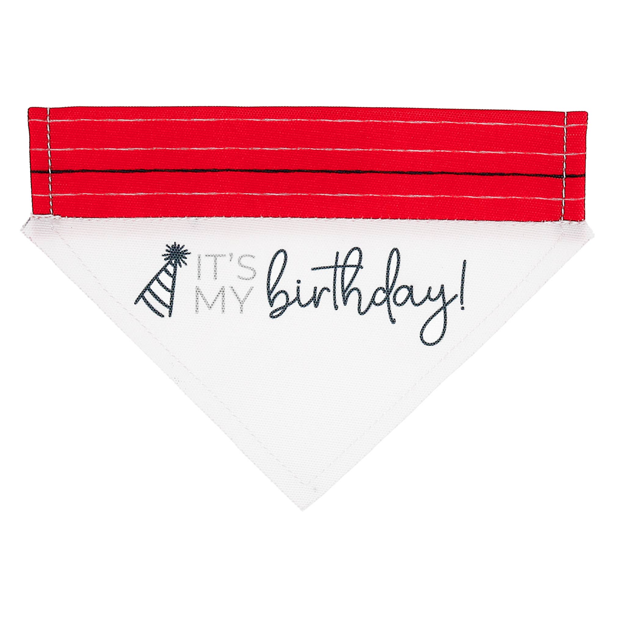 It's My Birthday Canvas Slip on Pet Bandana