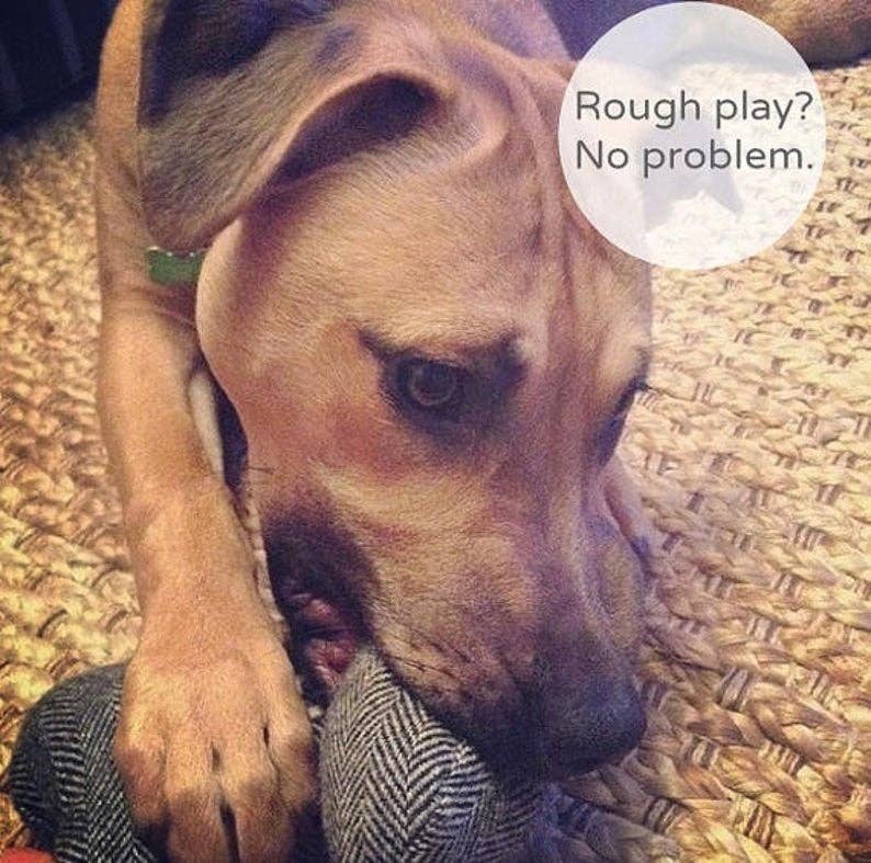 *CUSTOM EMBROIDERY* Tweed Dog Toy