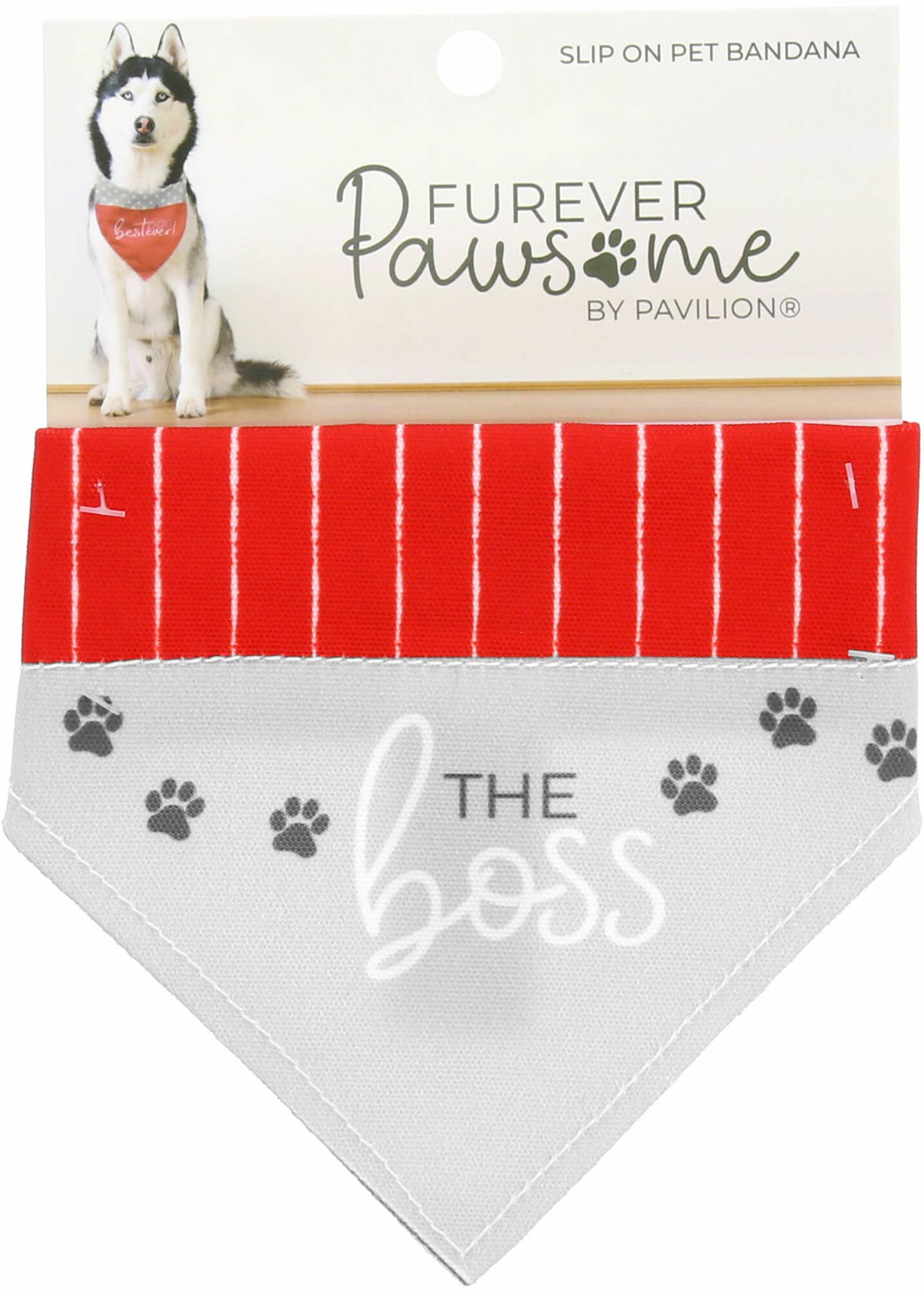 The Boss Canvas Slip on Pet Bandana