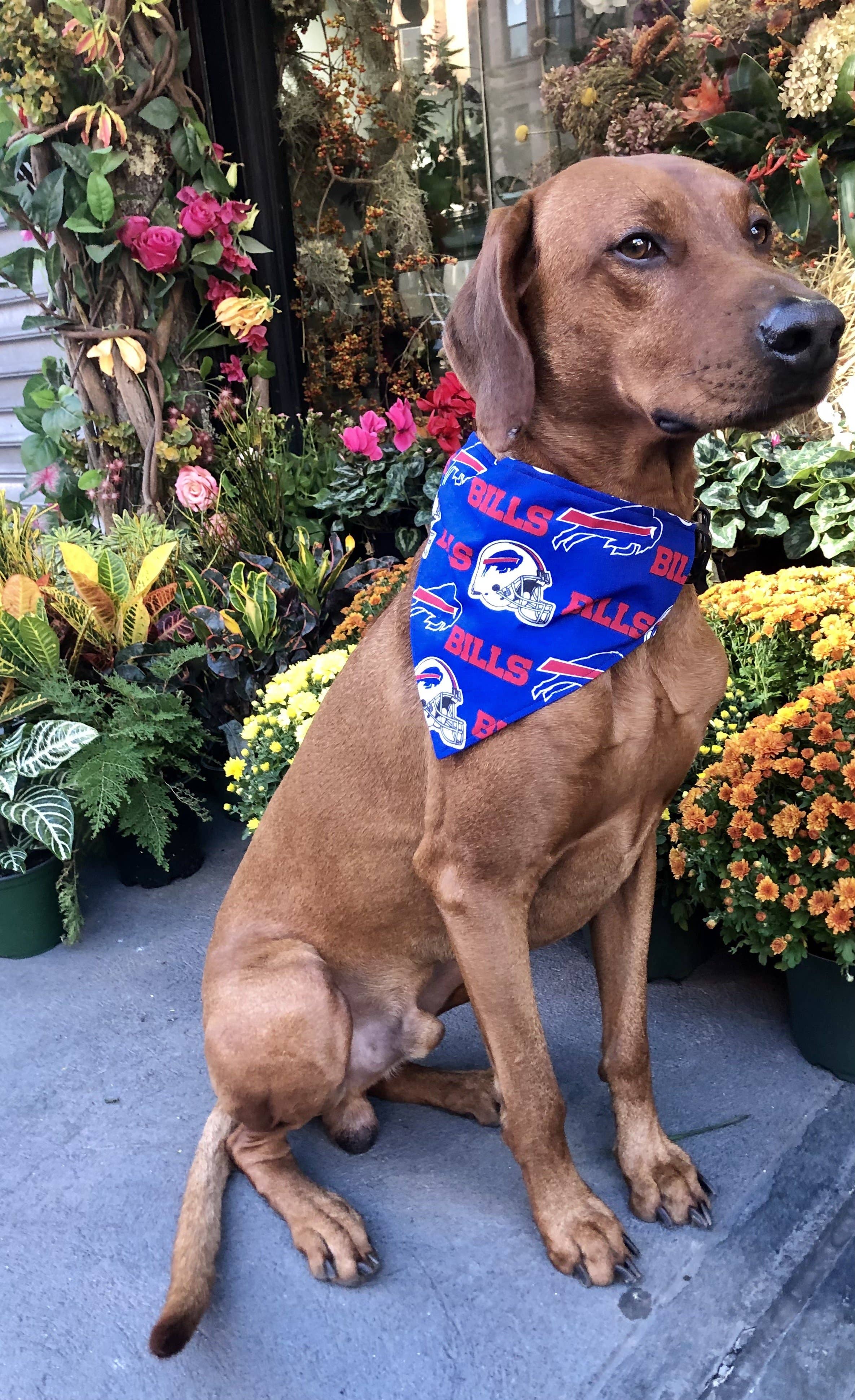 Buffalo Bills Bandana