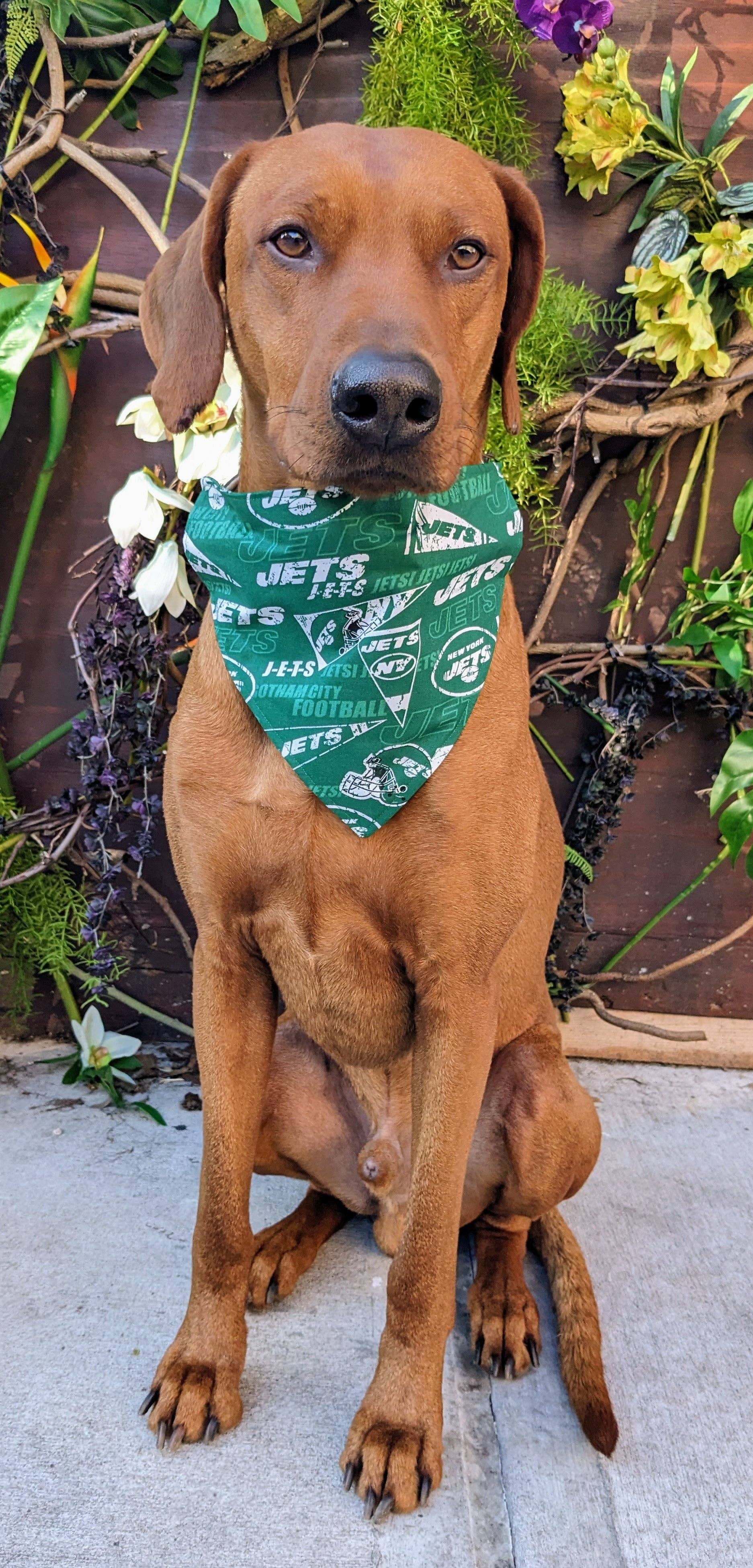 New York Jets Bandana