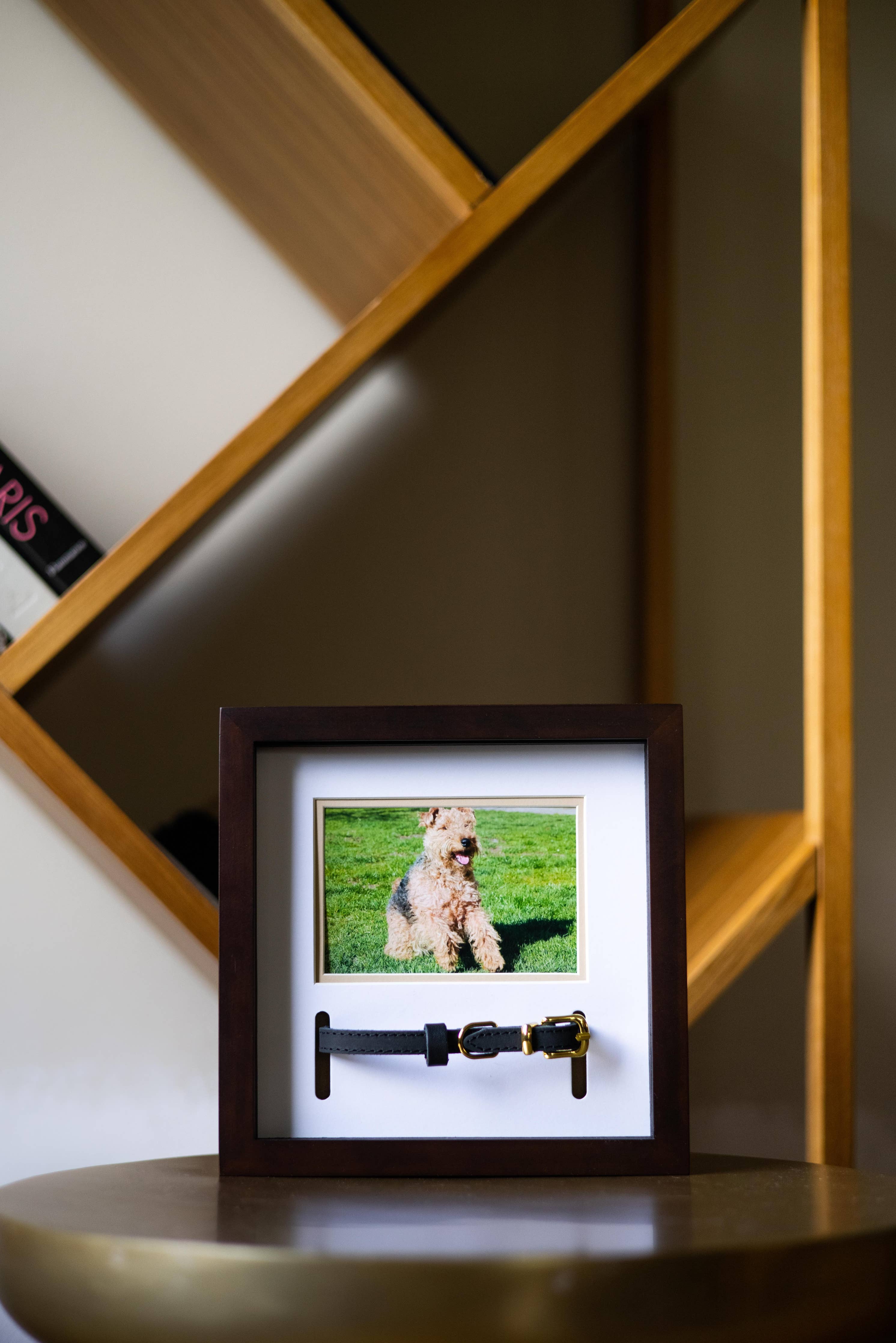 Pet Collar and Photo Frame (Espresso)