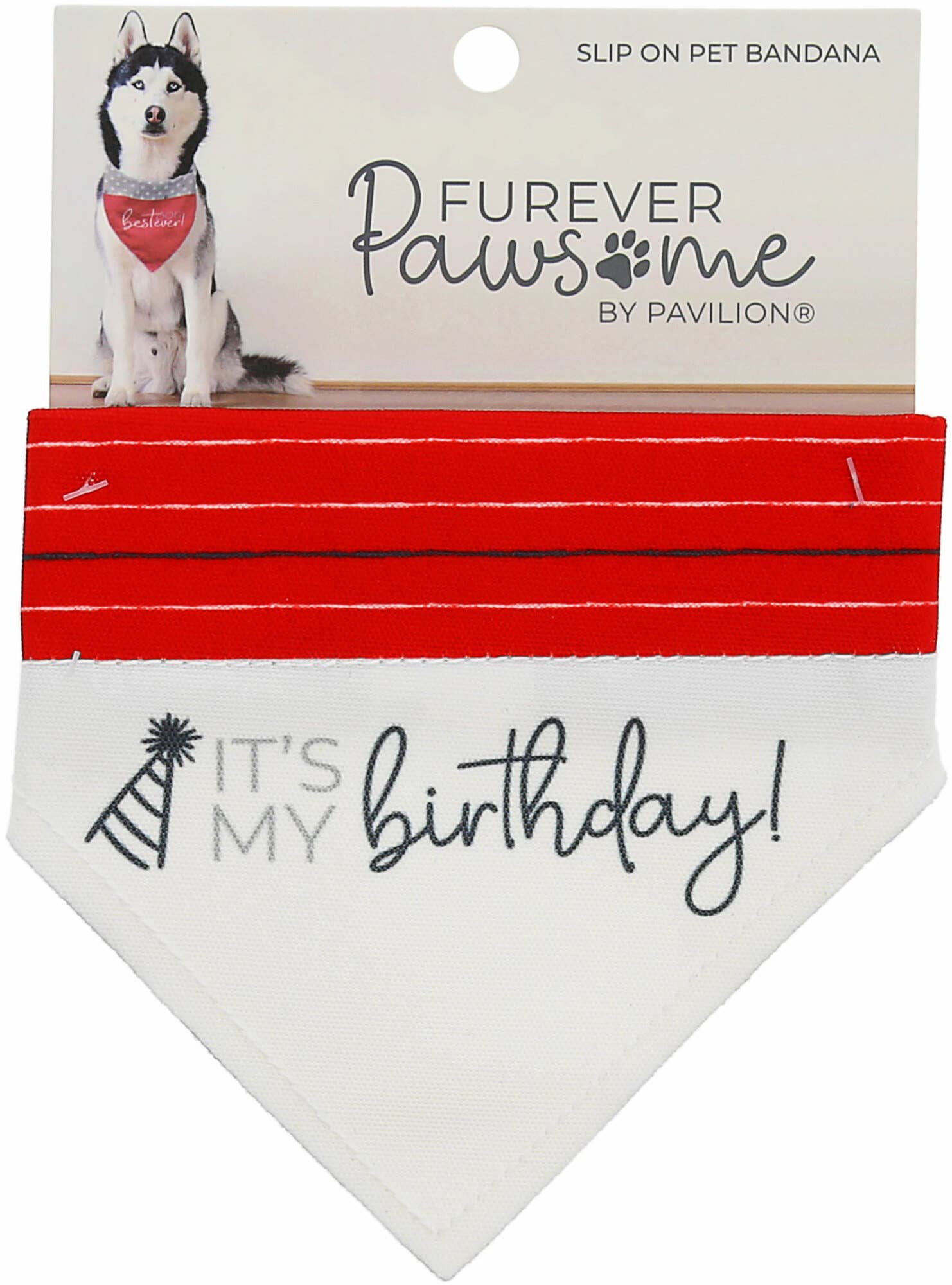 It's My Birthday Canvas Slip on Pet Bandana