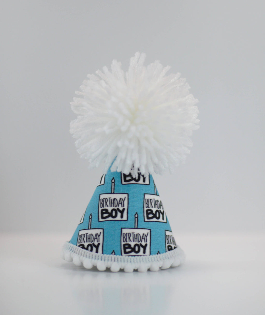 Birthday Boy Party Hat