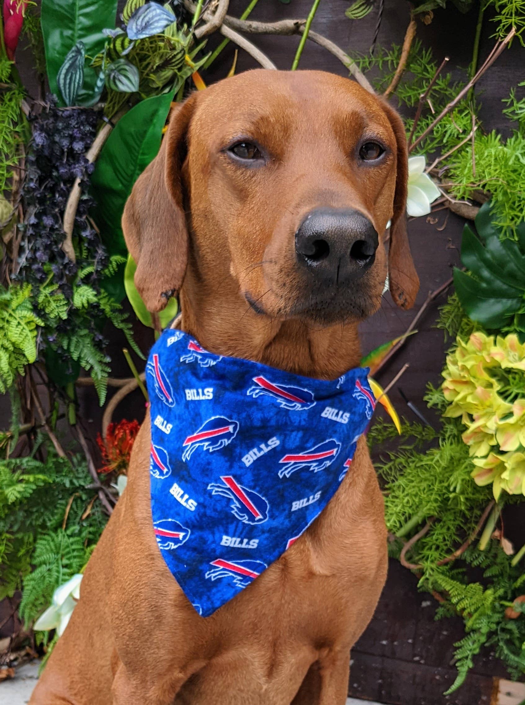 Buffalo Bills Tie Die Bandana