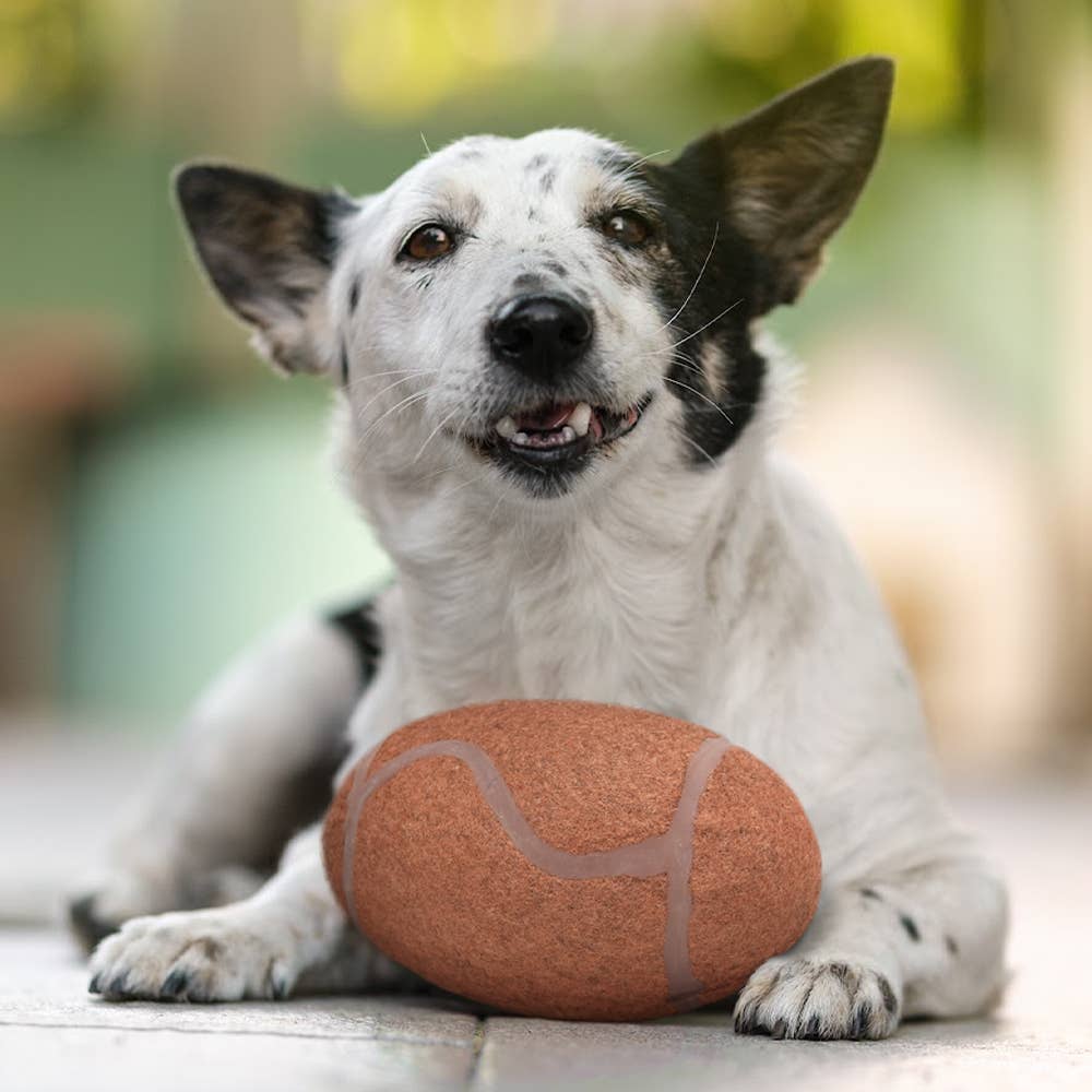 Florida Gators Tough Chewer Pet Ball