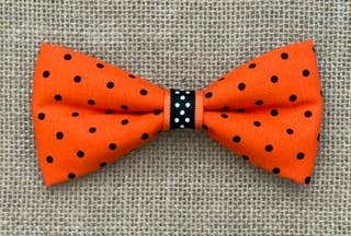 Halloween Pet Bow Tie