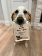 Caramel Latte for Dogs ☕🐾
