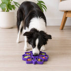 Mandala eTray Shallow Slow Feeder Dog Bowl