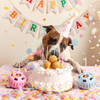 Pupsicle Birthday Pops
