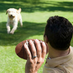 Florida State Seminoles Tough Chewer Pet Ball