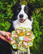Mandala eTray Shallow Slow Feeder Dog Bowl
