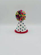 Rainbow Paws Party Hat