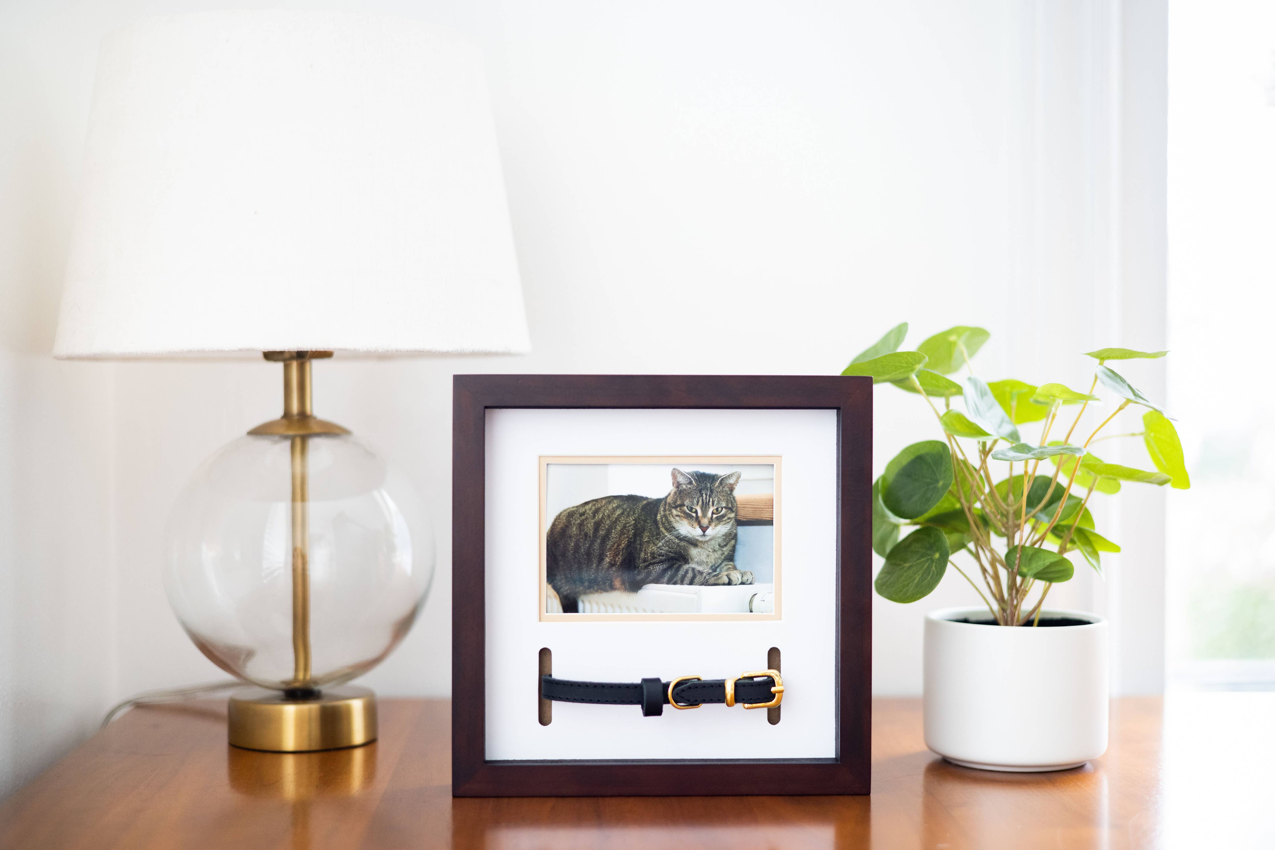 Pet Collar and Photo Frame (Espresso)