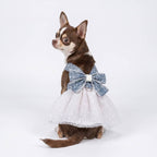 Summer Denim &amp; Tulle Dog Dress 🎀