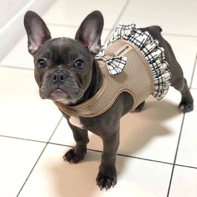 Harness Dress Khaki Plaid