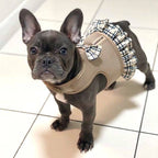 Harness Dress Khaki Plaid