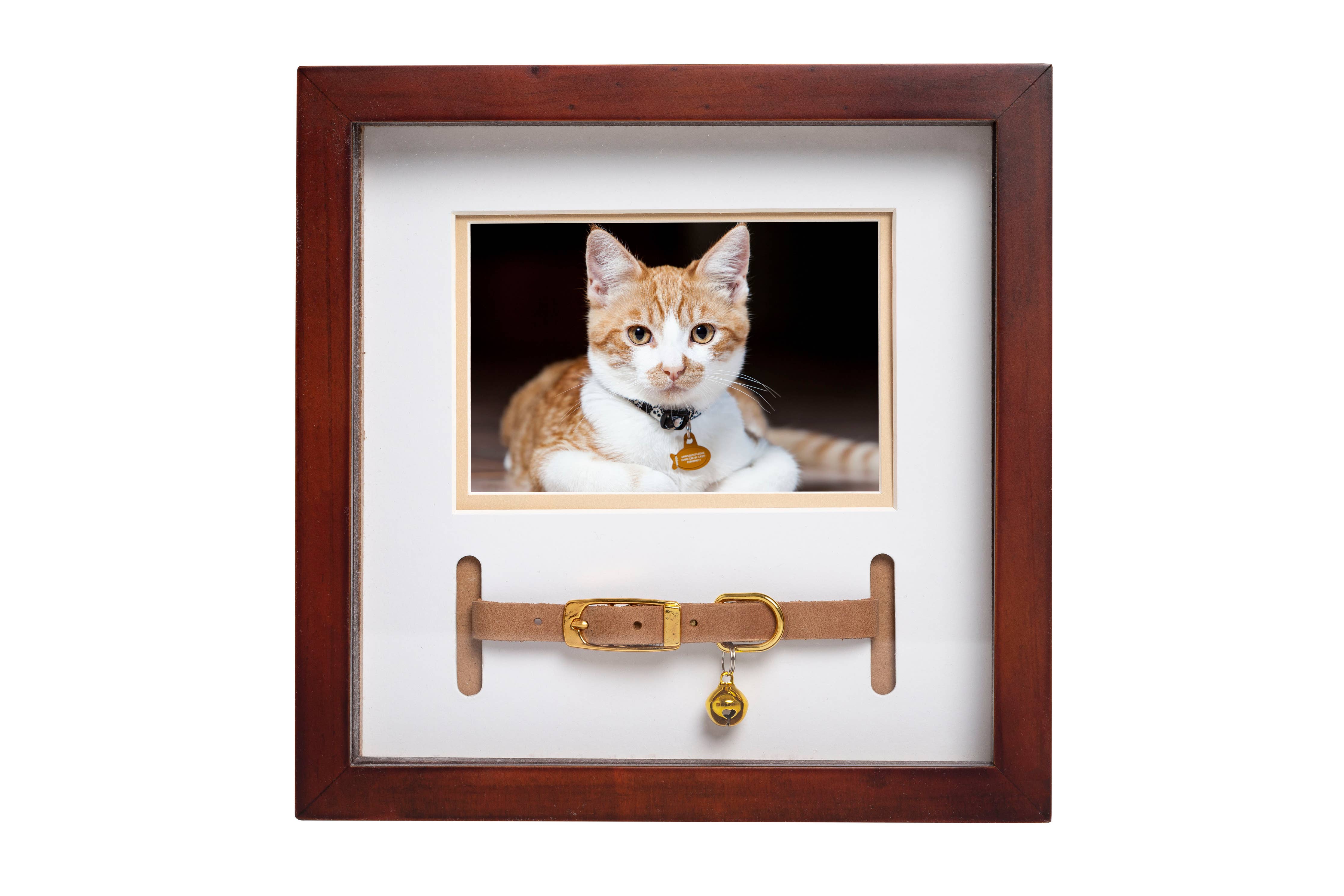 Pet Collar and Photo Frame (Espresso)