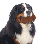 Florida State Seminoles Tough Chewer Pet Ball