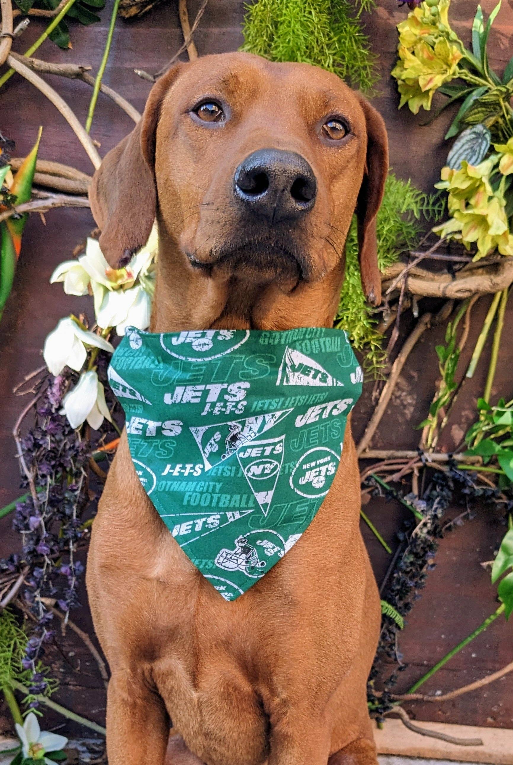 New York Jets Bandana