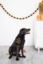 Trick or Treat Dog Halloween Bandana