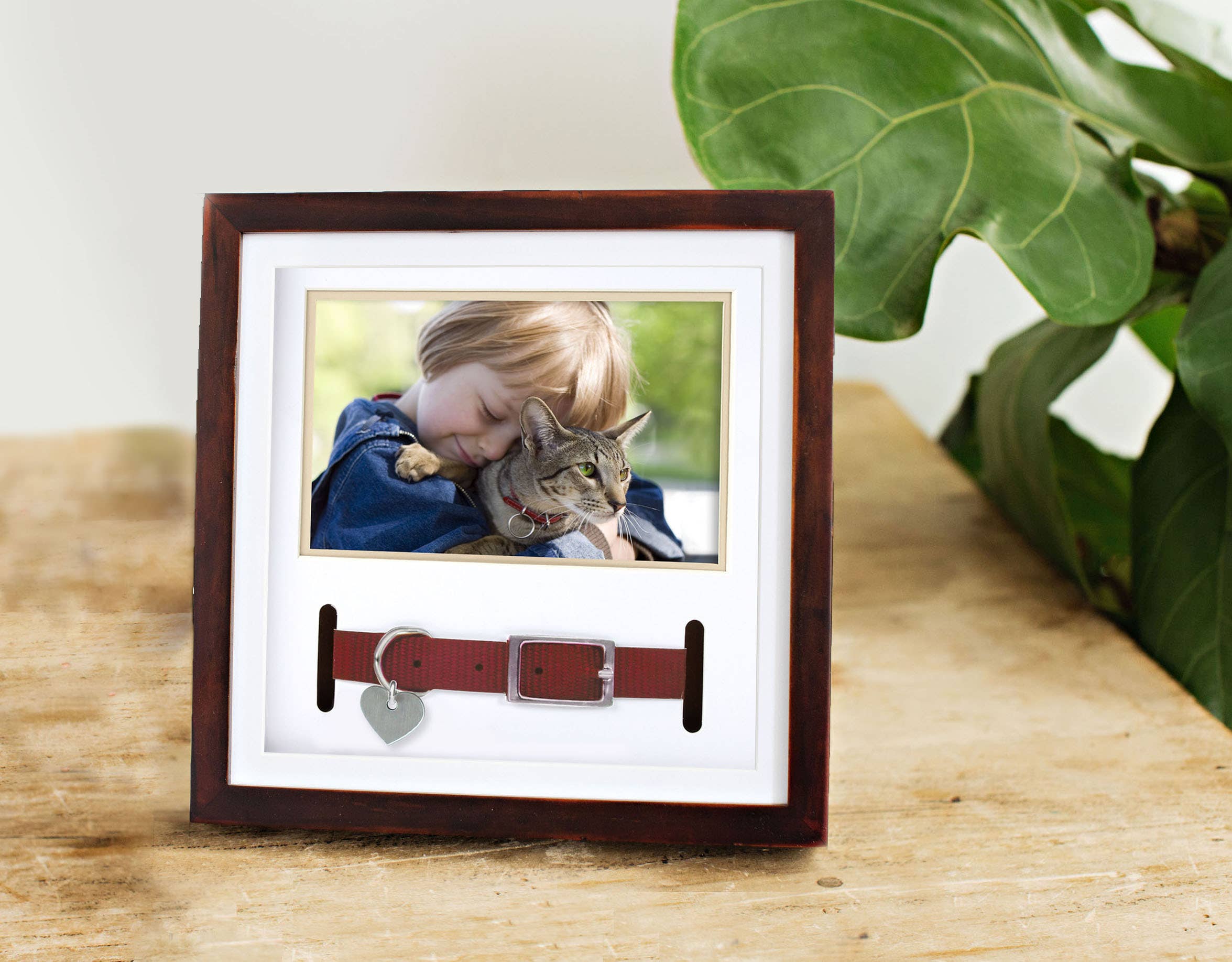 Pet Collar and Photo Frame (Espresso)