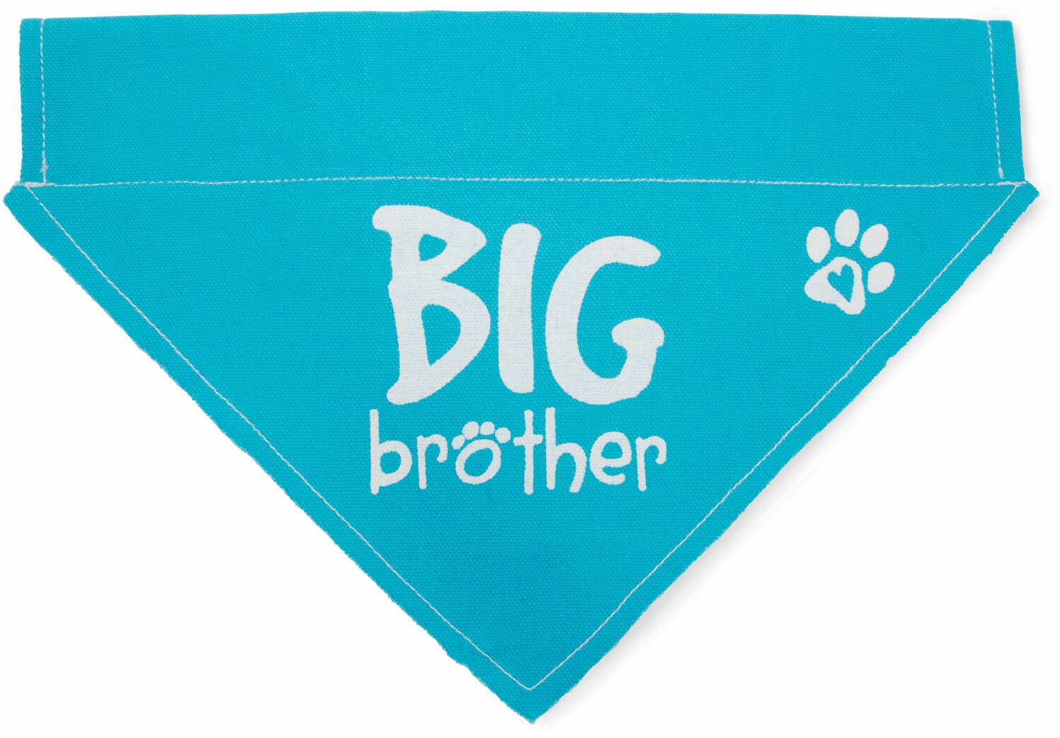 Big Brother Canvas Slip on Pet Bandana