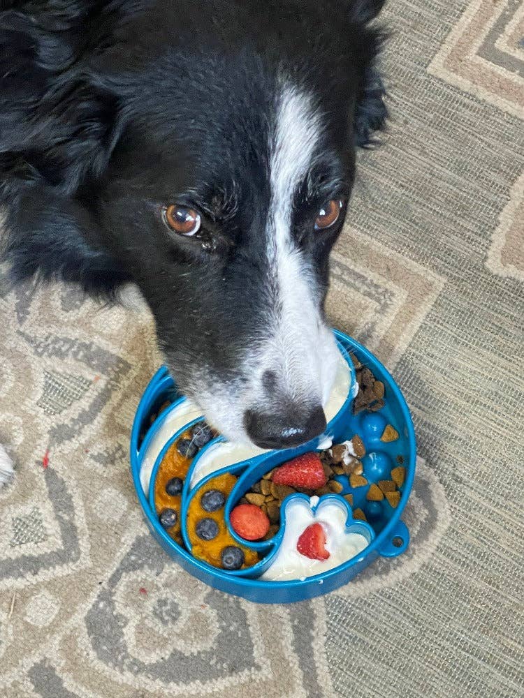 Wave eBowl Deep Slow Feeder Dog Bowl