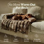Luxurious Cozy Sofa Bed