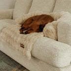 Luxurious Cozy Sofa Bed