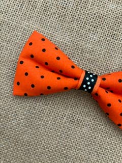 Halloween Pet Bow Tie