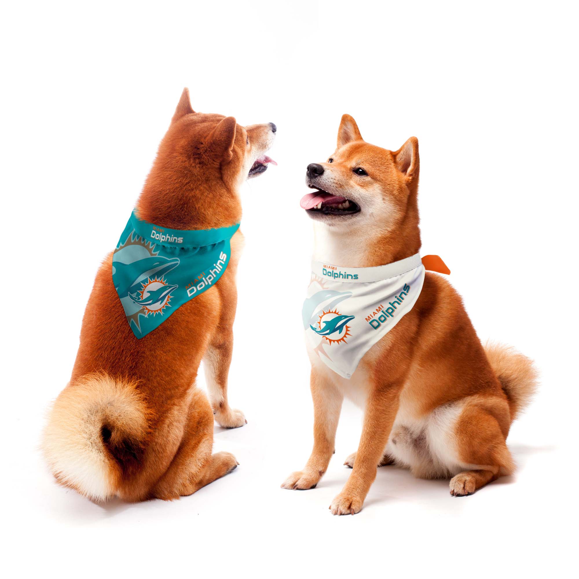 Miami dolphins dog bandana hotsell