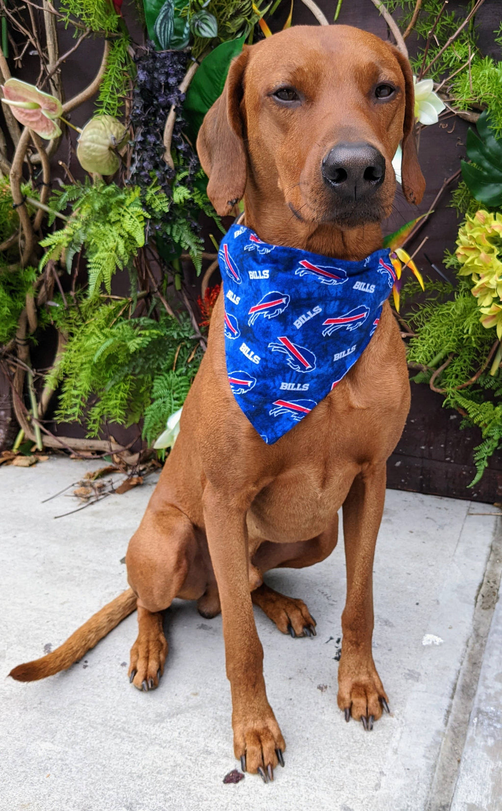 Buffalo Bills Tie Die Bandana