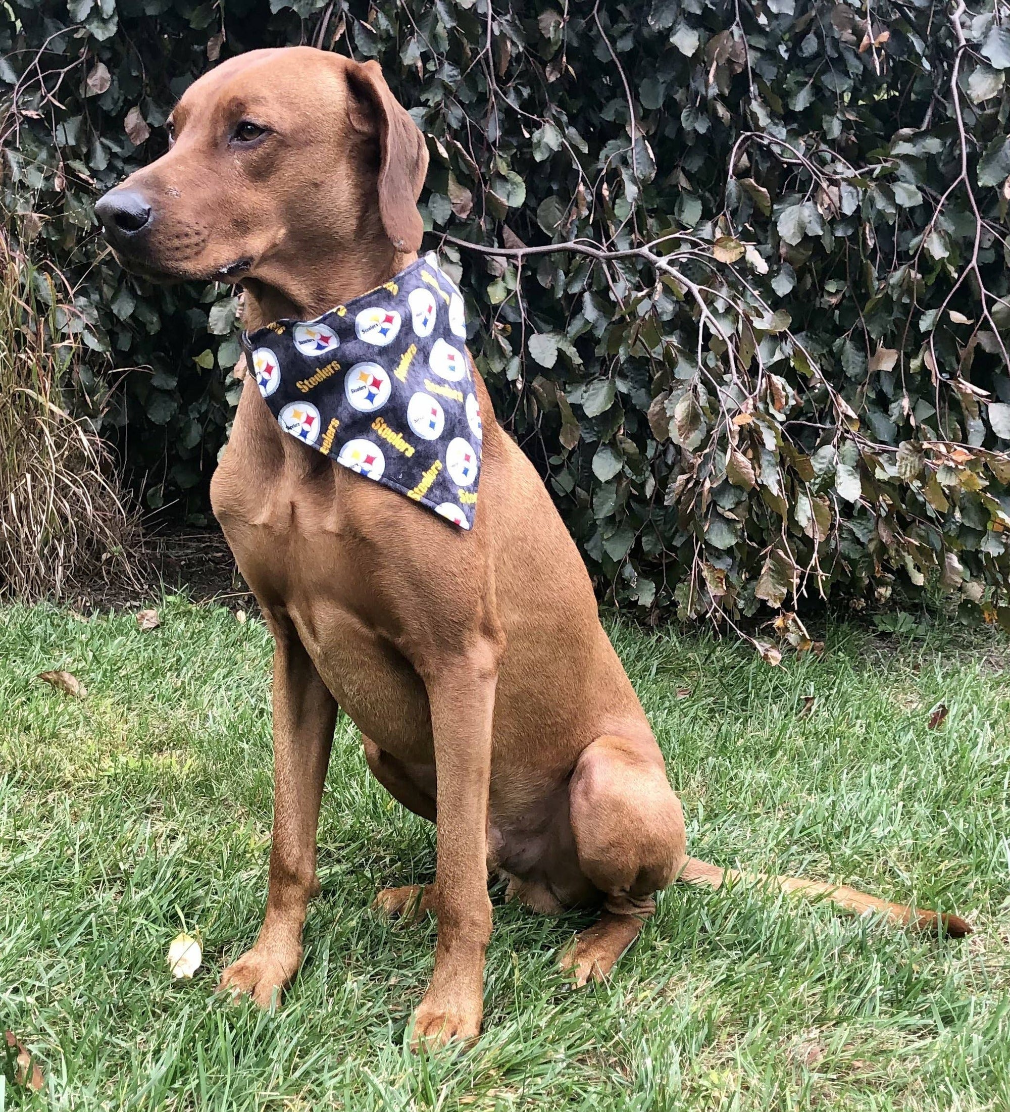 Pittsburgh Steelers Bandana - Football Collection