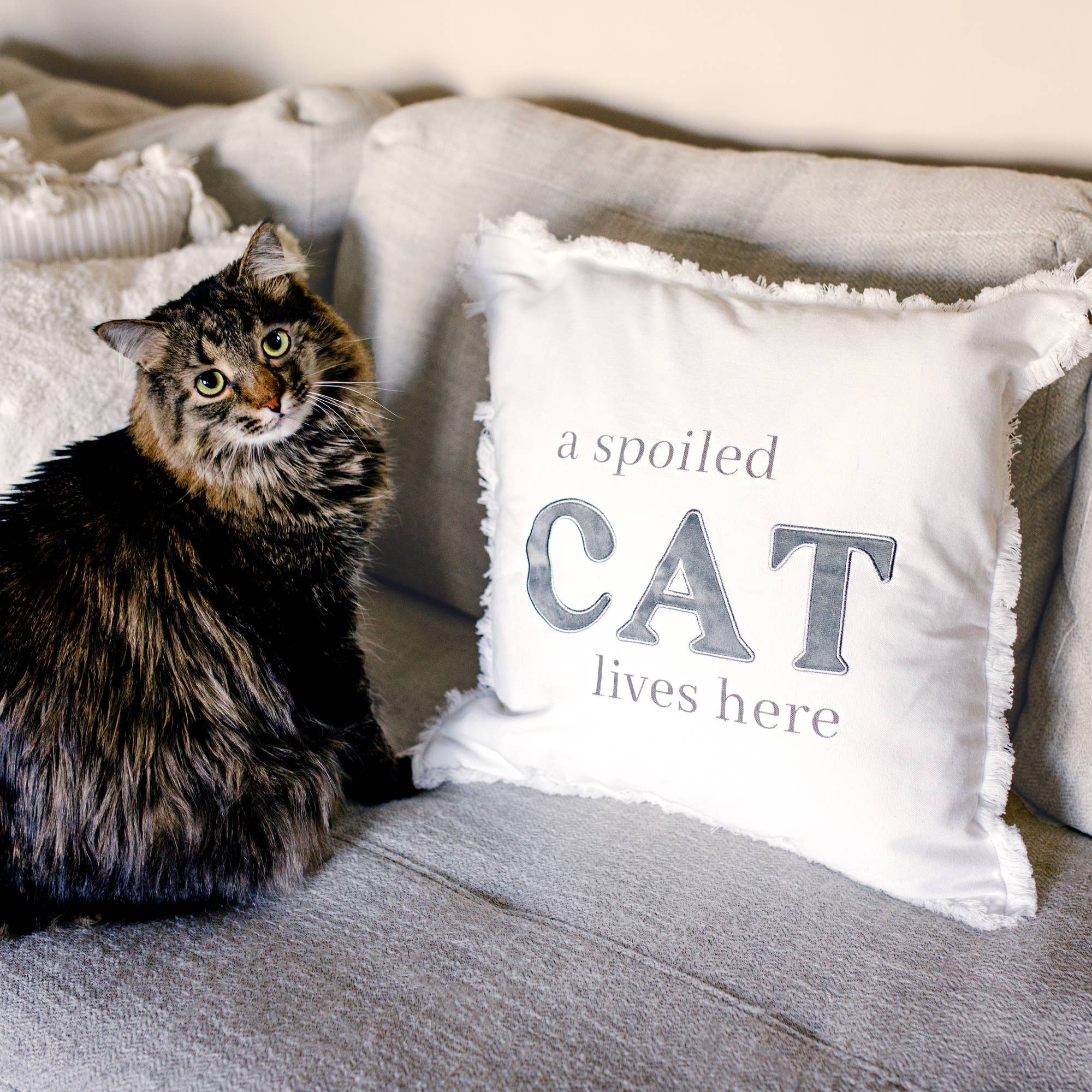 Spoiled Cat Throw Pillow