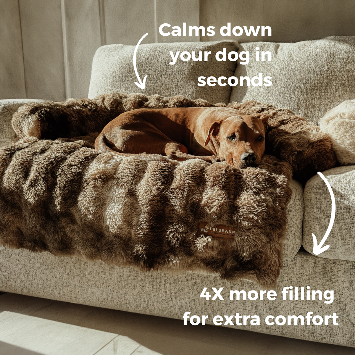 Luxurious Cozy Sofa Bed