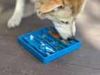 Waiting Dogs eTray - Shallow Slow Feeder Bowl