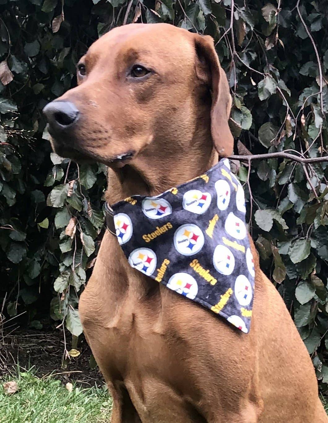 Pittsburgh Steelers Bandana - Football Collection