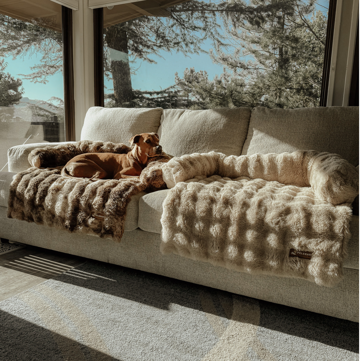Luxurious Cozy Sofa Bed