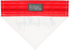 It's My Birthday Canvas Slip on Pet Bandana