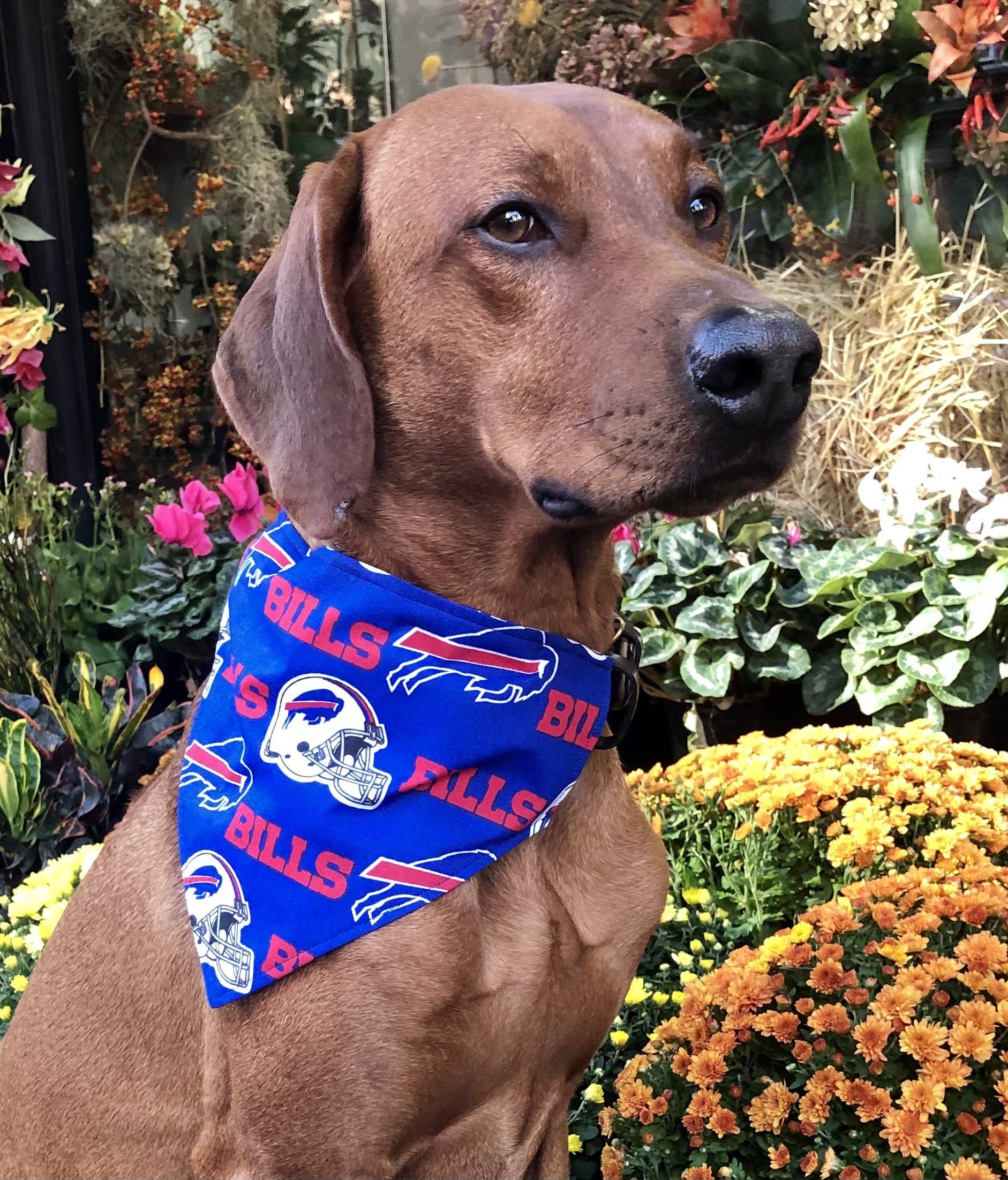 Buffalo Bills Bandana